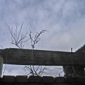 IMG_8810