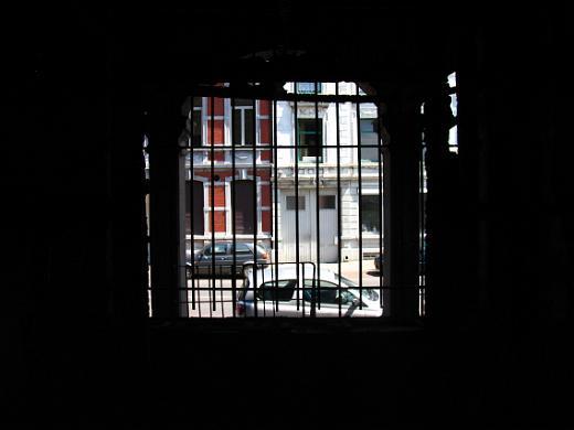 IMG_5545