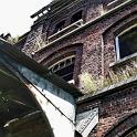IMG_5555
