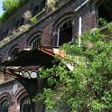 IMG_5556