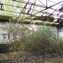 IMG_1375