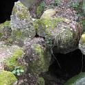 IMG_1391