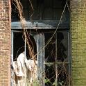 IMG_1405