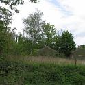 IMG_1437