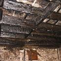 IMG_9550