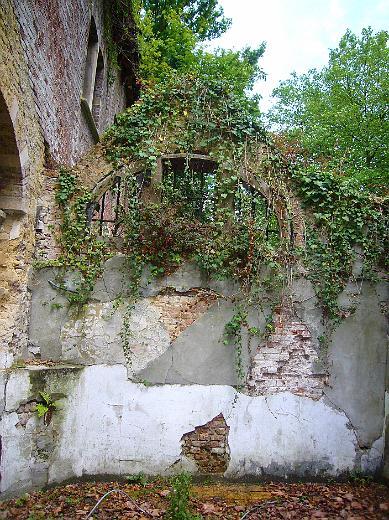 P1100925