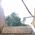 CONVAR44