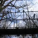 IMG_8677
