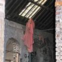 IMG_4595