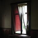 IMG_1584