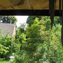 IMG_1601