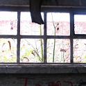IMG_3422