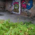 IMG_3483