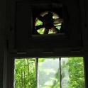 IMG_0005